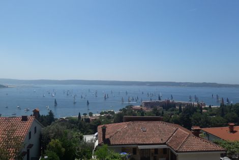 Apartmaji Kočevar